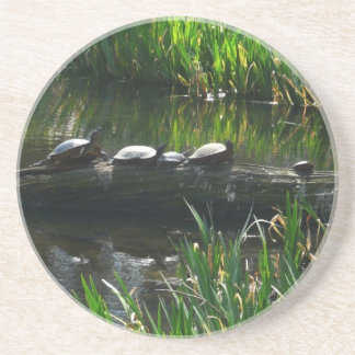 Posavasos Fila de la naturaleza verde de las tortugas