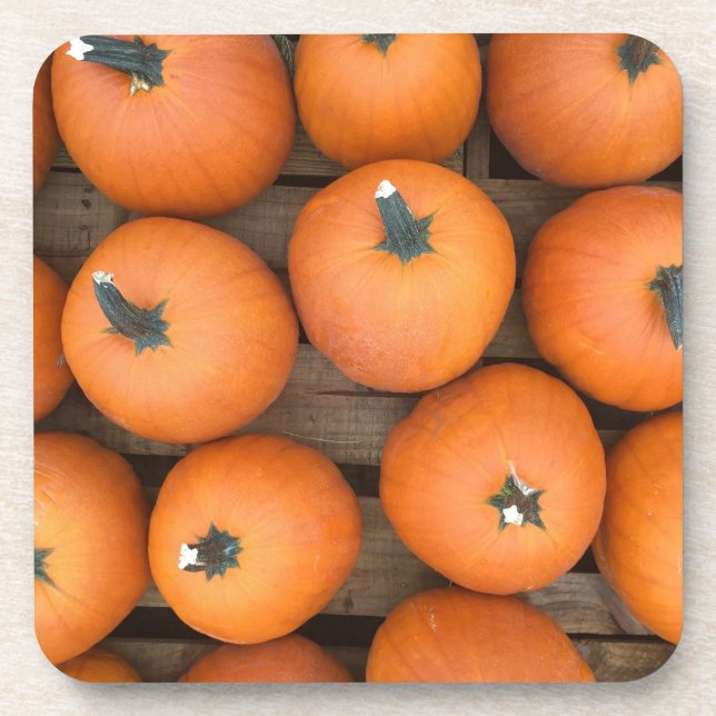 Posavasos Filas de calabaza (Frente)