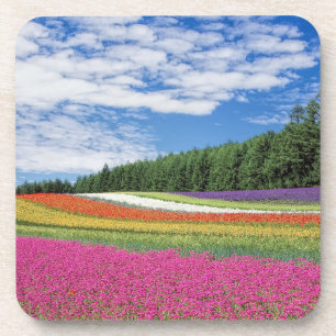 Posavasos Filas de campo de verano de flores