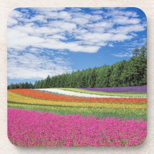 Posavasos Filas de campo de verano de flores (Frente)