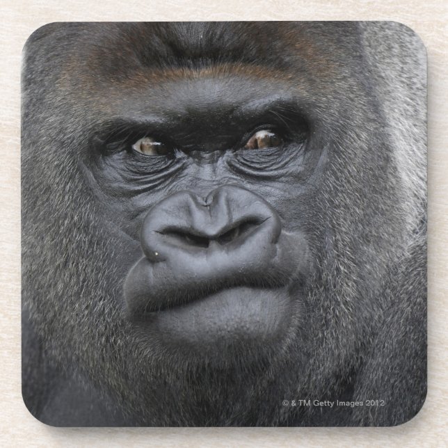 Posavasos Flachlandgorilla, gorila (Frente)