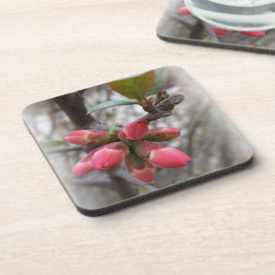 Posavasos flamante membrillo