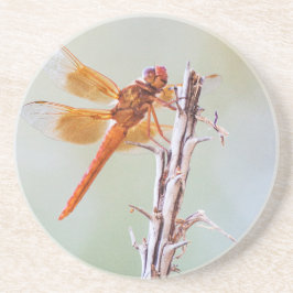 Posavasos Flame Skimmer Dragonfly on Agave