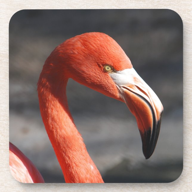 Posavasos Flamingo (Frente)