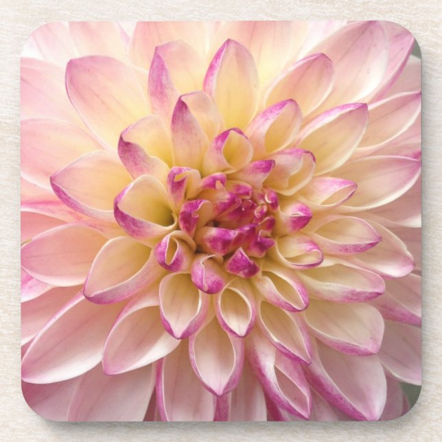 Posavasos flor (Frente)