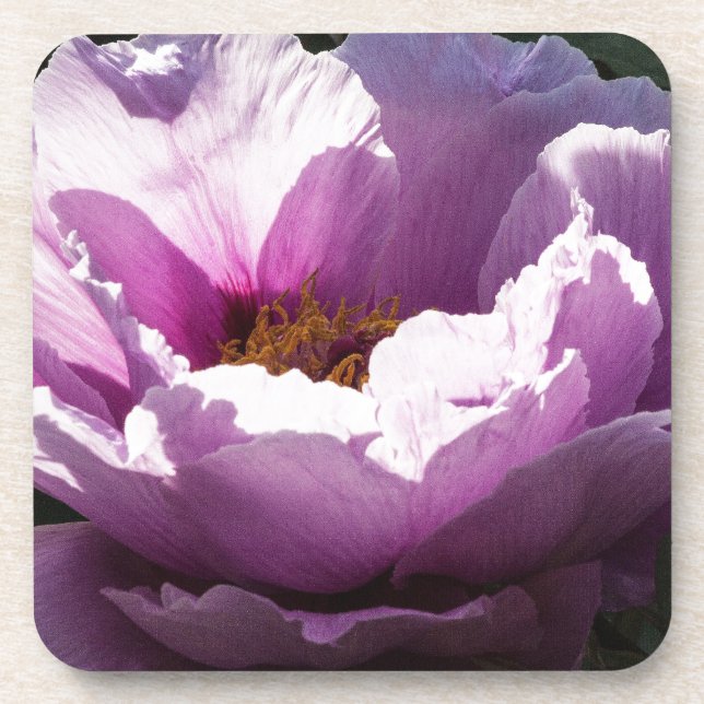 Posavasos flor (Frente)