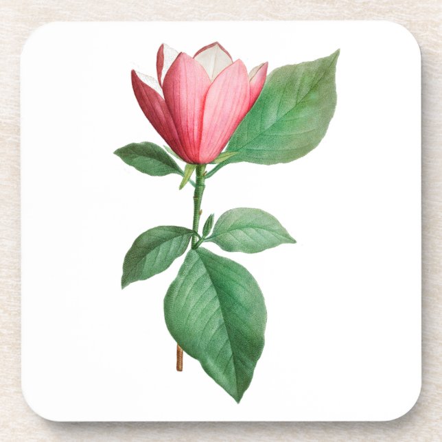 Posavasos Flor: A001 Lily Magnolia - (Frente)