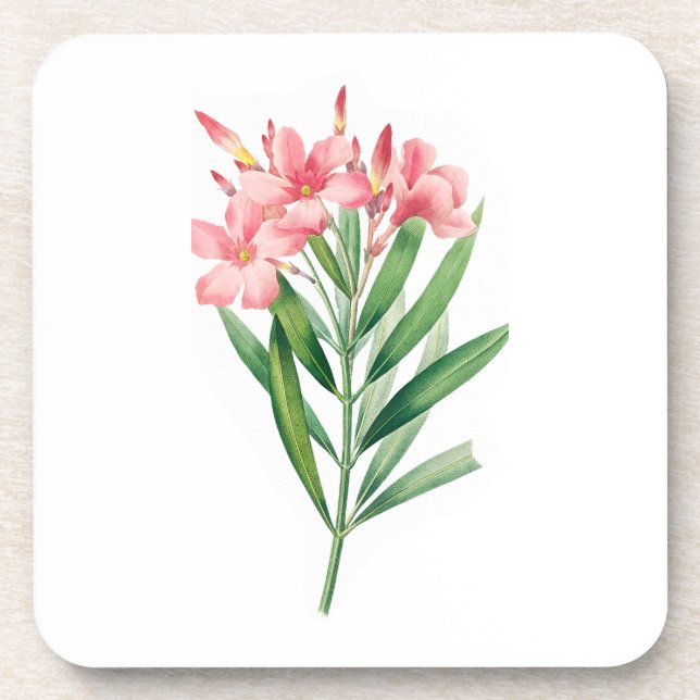 Posavasos Flor: A005 Oleander - (Frente)