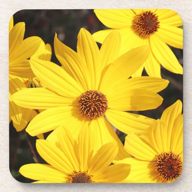 Posavasos Flor amarilla (Frente)