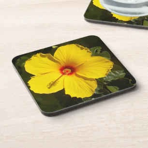 Posavasos Flor amarilla hibiscus