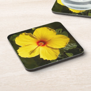 Posavasos Flor amarilla hibiscus