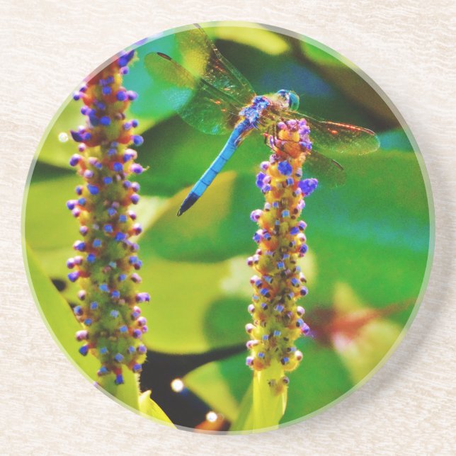 Posavasos Flor azul (Frente)