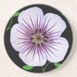 Posavasos Flor azul claro botánica del geranio en cualquier