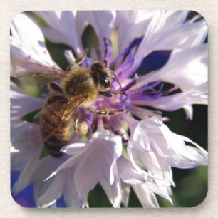 Posavasos Flor azul y abeja