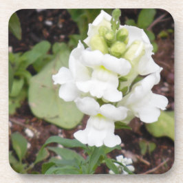 Posavasos Flor blanca