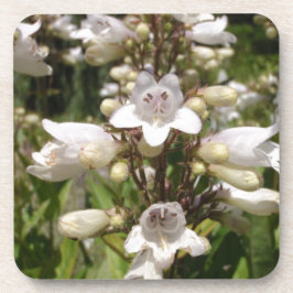 Posavasos Flor Blanca
