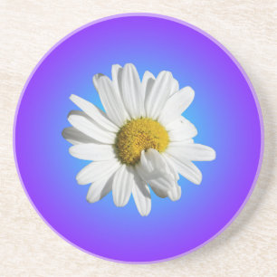 Posavasos Flor blanca de margarita floral gradiente azul púr