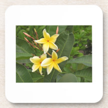 Flor Botánica de Plumeria Amarilla