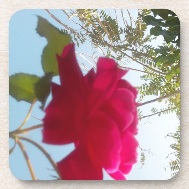 Posavasos Flor celestial: una rosa contra el cielo (Frente)