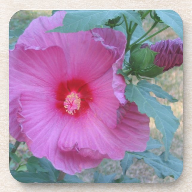 Posavasos Flor Coaster (Frente)