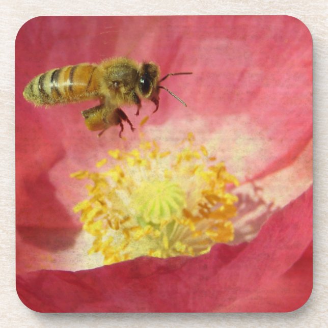 Posavasos Flor de abejas y adormidera (Frente)
