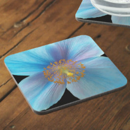 Posavasos Flor de amapola azul del Himalaya