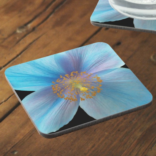 Posavasos Flor de amapola azul del Himalaya (In Situ)