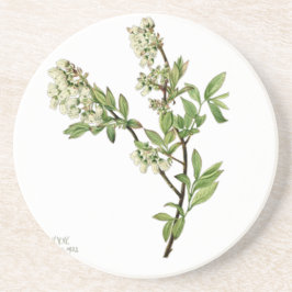 Posavasos Flor de arándano