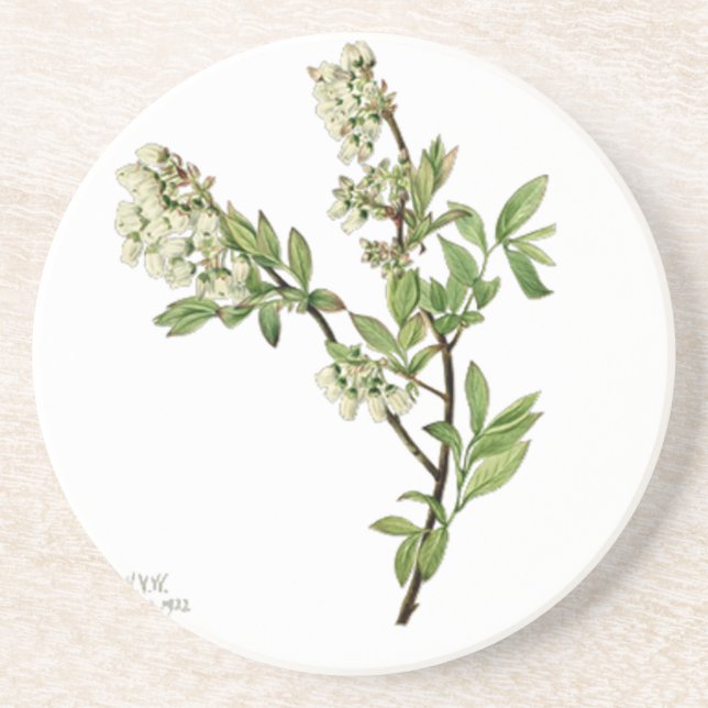 Posavasos Flor de arándano  (Frente)