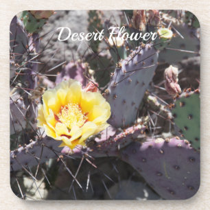 Posavasos Flor de cactus amarillo en primavera