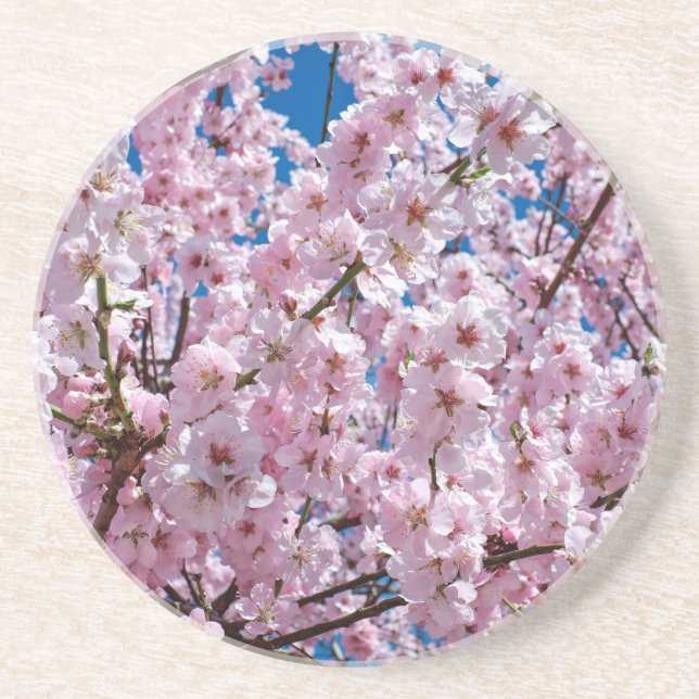 Posavasos Flor de cereza japonesa (Frente)
