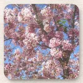 Posavasos Flor de Cerezo