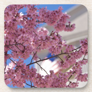 Posavasos Flor de Cerezo Sakura Americana