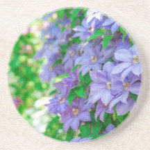 flor de Clemátide púrpura