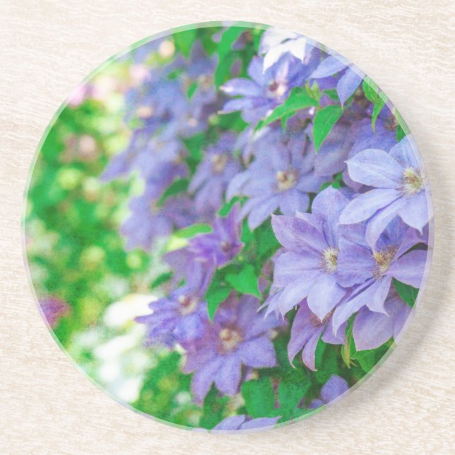 Posavasos flor de Clemátide púrpura (Frente)