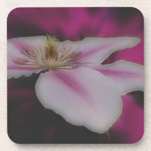 Posavasos Flor De Clematis Blanco Y Rosa