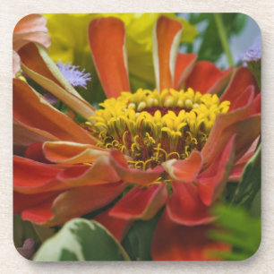 Posavasos flor de crisantemo