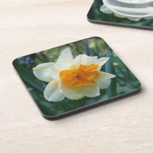 Posavasos Flor de Daffodil