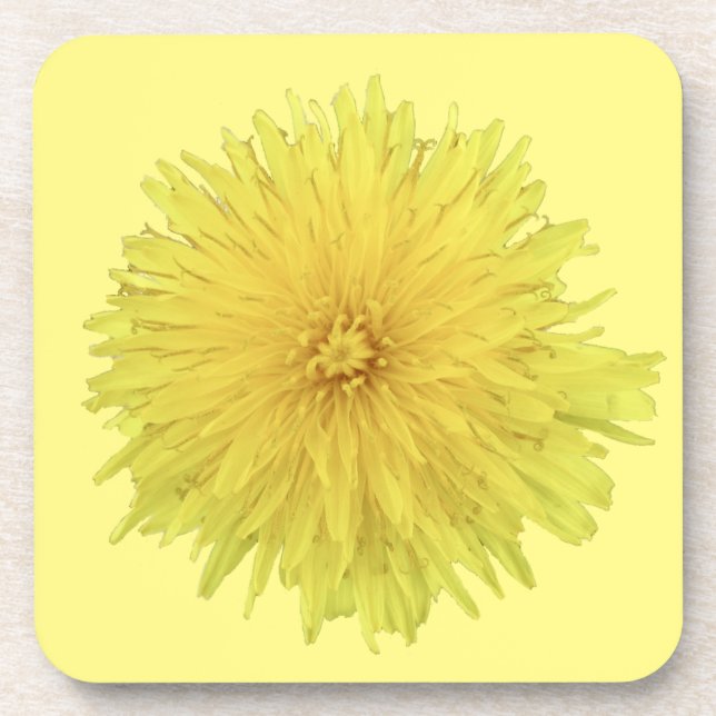 Posavasos Flor de diente de león orgullosa - transparente. (Frente)