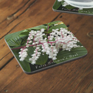Posavasos Flor de foca de Falsa Salomón