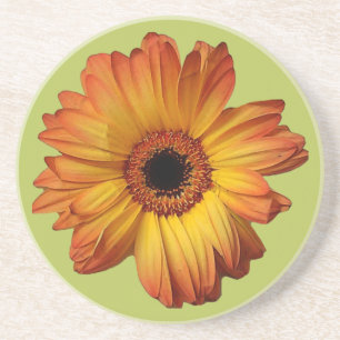Posavasos Flor de gerbera Naranja soleado