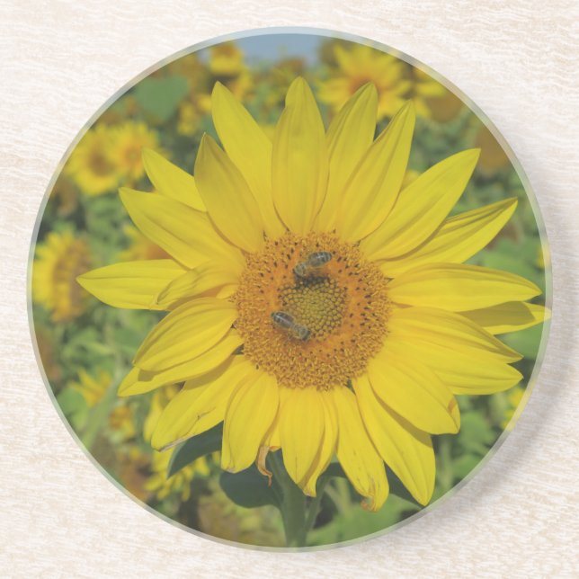 Posavasos flor de girasol amarillo de verano (Frente)