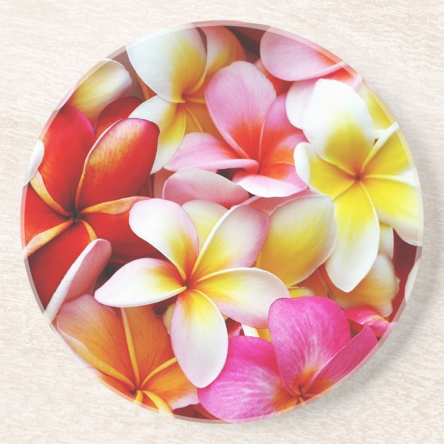 Posavasos Flor de Hawaii del Frangipani del Plumeria (Frente)