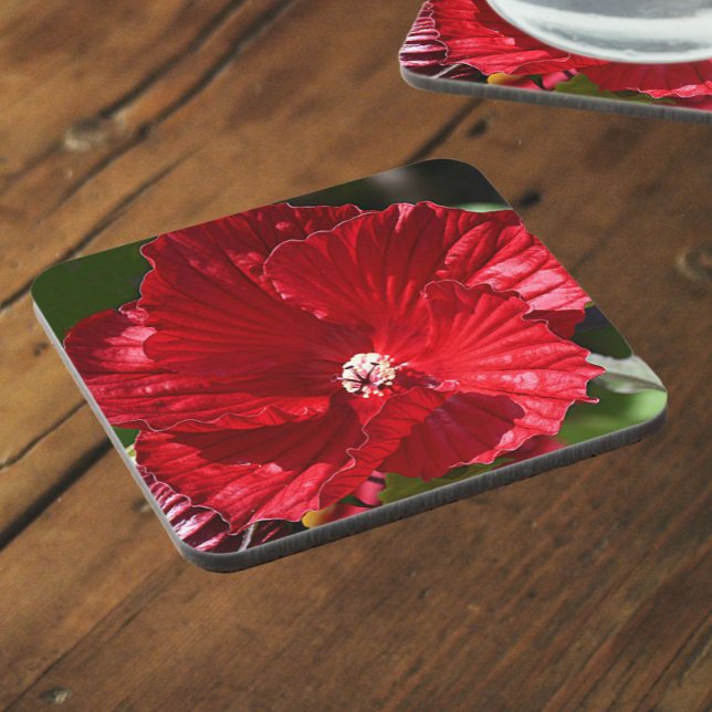 Posavasos Flor de Hibiscus Bloom (In Situ)