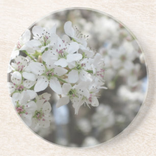 Posavasos Flor de la escayola de la flor del árbol de orejas