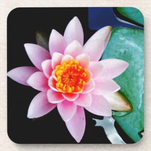 Posavasos Flor de lirio de agua rosada y naranja caliente