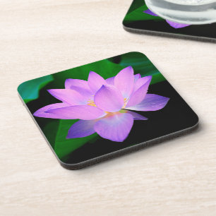 Posavasos Flor de Loto Elegante