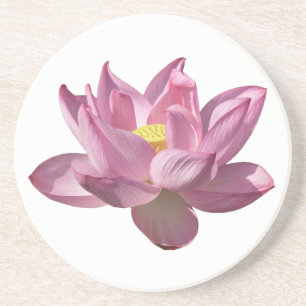Posavasos Flor de Loto Rosa IV
