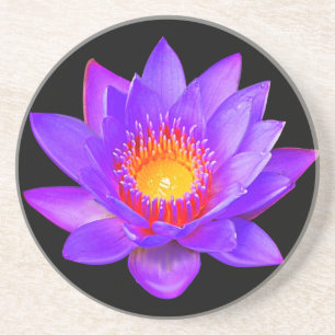 Posavasos Flor de Loto Violeta sobre Negro