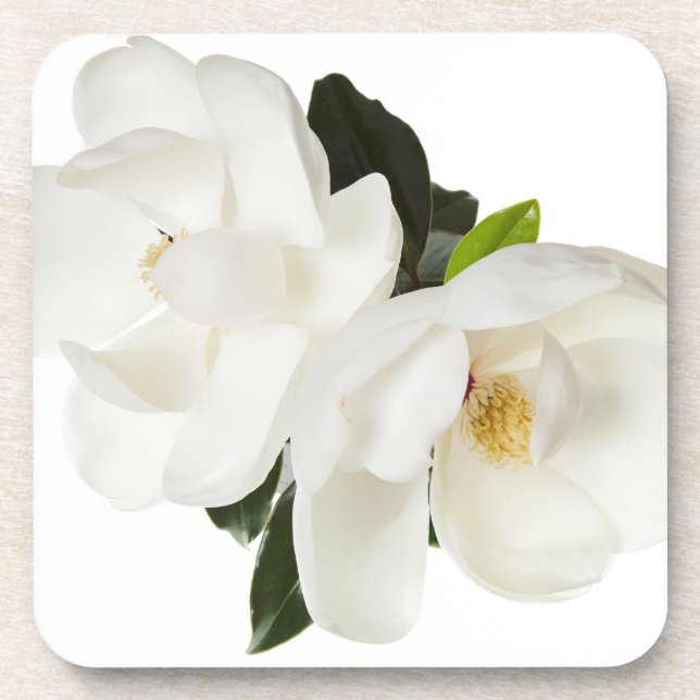 Posavasos Flor de magnolias blancas Flores florales (Frente)